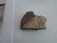 2013-03-01 11.43.06.webp