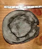 image-1015711136.webp