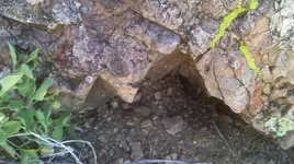 IMAG0324 (2).webp