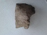 2013-03-01 11.43.33.webp