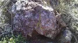 IMAG0323 (2).webp