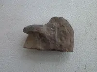 2013-03-01 11.43.50.webp