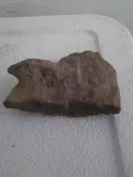 2013-03-01 11.46.23.webp