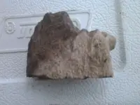 2013-03-01 11.45.40.webp