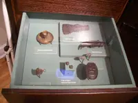 Mandarin_FL_Maple_Leaf_artifacts02.webp