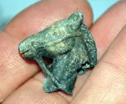 Horse Head (17).webp