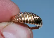 Ring 6.webp
