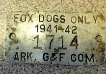 dog tag.webp