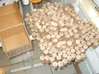 DSCN6165.webp