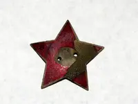Insigna 3.webp