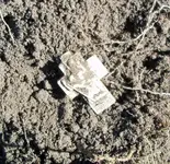 100_0327.webp