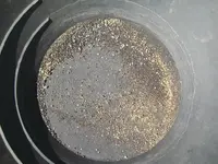 The Grey and Gold 001.webp