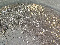 The Grey and Gold 003.webp