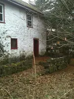image-4119179133.webp