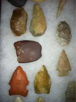 image-1021564594.webp