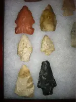 image-3523176723.webp
