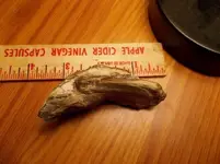 100_1252 (640x478).webp