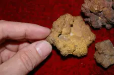 ROCK.webp