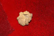 ROCK 22.webp