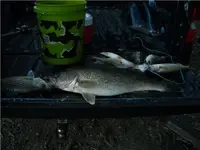 DSCN0384.webp