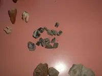 DSCF0399.webp