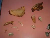 DSCF0400.webp