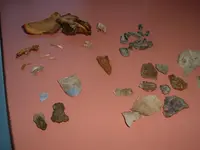 DSCF0403.webp