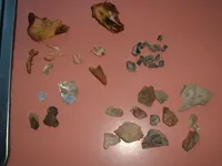 DSCF0405.webp