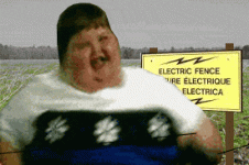196k.gif