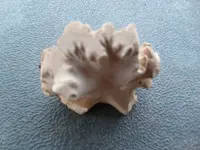 FINDS 233.webp