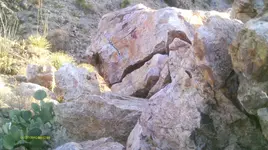 IMAG1122.webp