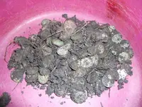 DSCF0519.webp