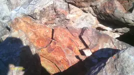 IMAG1152.webp