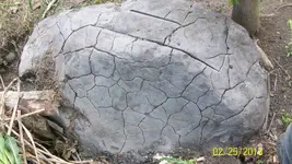 100_2068.webp