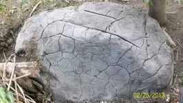 100_2067.webp
