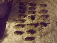 DSCF3051.webp