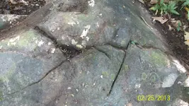100_2074.webp