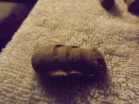 DSCF3053.webp