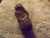 DSCF3061.webp