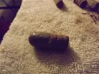 DSCF3057.webp