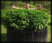2012_Grow_Log_231.webp