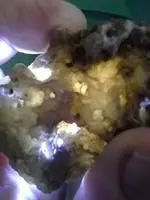 rock light.webp