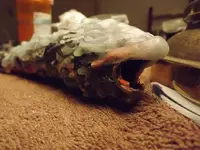 DSCF3073.webp