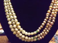 DSCF3039.webp