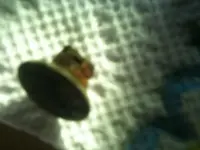 image-1803868854.webp