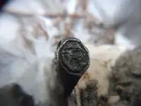 DSCF5293.webp