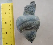 unknown2.webp