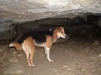 DSCF0393.webp