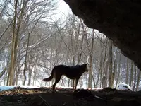 DSCF0396.webp