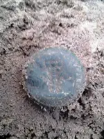 20130318_082103.webp